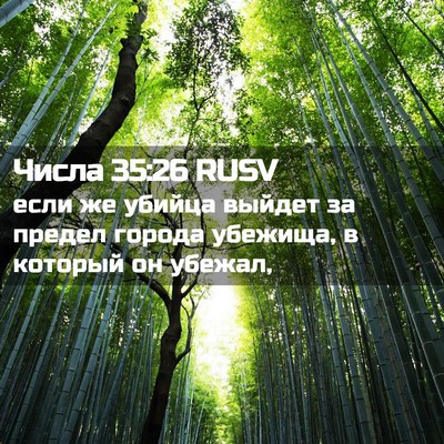 Picture 02 - Числа 35:26 RUSV - если же убийца выйдет за - Bible Verse Picture