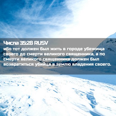 Picture 02 - Числа 35:28 RUSV - ибо тот должен был жить в - Bible Verse Picture