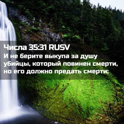 Picture 02 - Числа 35:31 RUSV - И не берите выкупа за душу - Bible Verse Picture