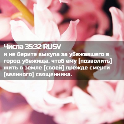 Picture 02 - Числа 35:32 RUSV - и не берите выкупа за - Bible Verse Picture