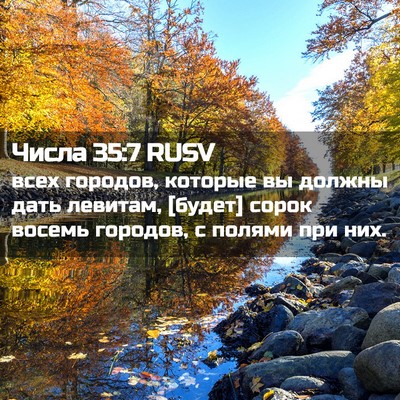 Picture 02 - Числа 35:7 RUSV - всех городов, которые вы - Bible Verse Picture