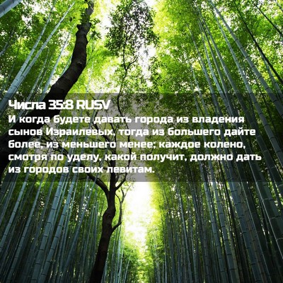 Picture 02 - Числа 35:8 RUSV - И когда будете давать - Bible Verse Picture