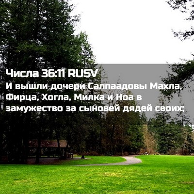 Picture 02 - Числа 36:11 RUSV - И вышли дочери Салпаадовы - Bible Verse Picture