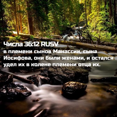 Picture 02 - Числа 36:12 RUSV - в племени сынов Манассии, - Bible Verse Picture