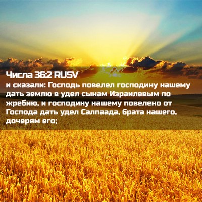 Picture 02 - Числа 36:2 RUSV - и сказали: Господь повелел - Bible Verse Picture