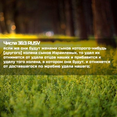 Picture 02 - Числа 36:3 RUSV - если же они будут женами - Bible Verse Picture
