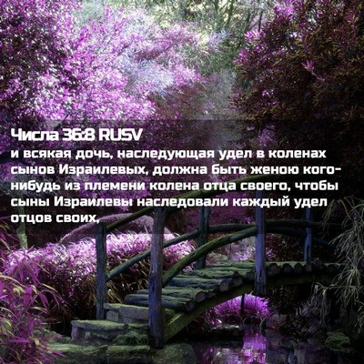 Picture 02 - Числа 36:8 RUSV - и всякая дочь, наследующая - Bible Verse Picture