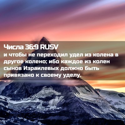 Picture 02 - Числа 36:9 RUSV - и чтобы не переходил удел - Bible Verse Picture