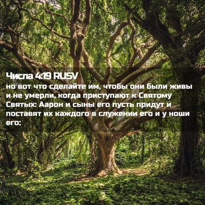 Picture 02 - Числа 4:19 RUSV - но вот что сделайте им, - Bible Verse Picture
