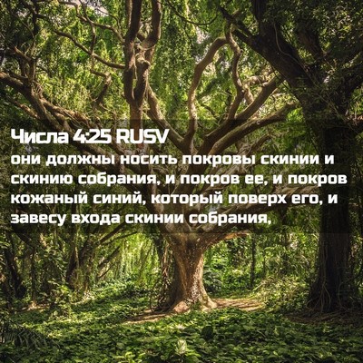 Picture 02 - Числа 4:25 RUSV - они должны носить покровы - Bible Verse Picture