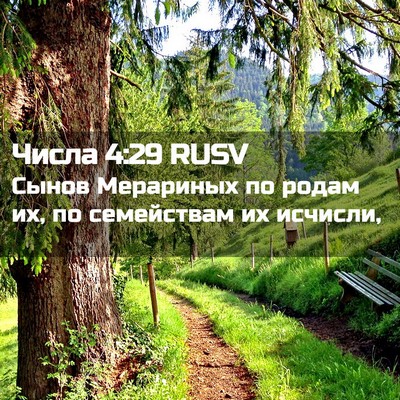 Picture 02 - Числа 4:29 RUSV - Сынов Мерариных по родам - Bible Verse Picture