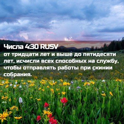 Picture 02 - Числа 4:30 RUSV - от тридцати лет и выше до - Bible Verse Picture