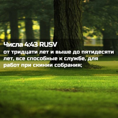 Picture 02 - Числа 4:43 RUSV - от тридцати лет и выше до - Bible Verse Picture