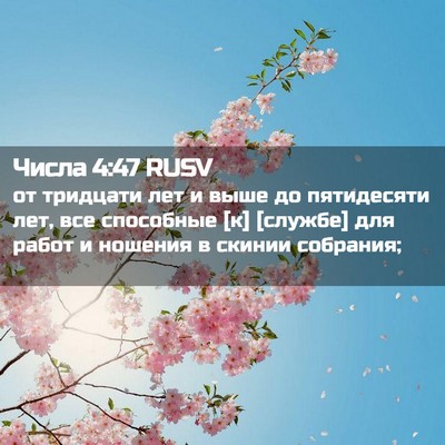 Picture 02 - Числа 4:47 RUSV - от тридцати лет и выше до - Bible Verse Picture