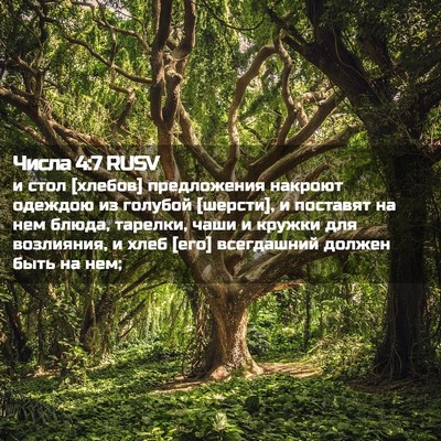 Picture 02 - Числа 4:7 RUSV - и стол [хлебов] предложения - Bible Verse Picture