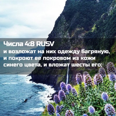 Picture 02 - Числа 4:8 RUSV - и возложат на них одежду - Bible Verse Picture