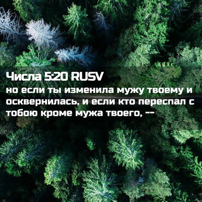 Picture 02 - Числа 5:20 RUSV - но если ты изменила мужу - Bible Verse Picture
