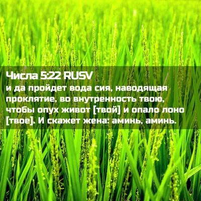 Picture 02 - Числа 5:22 RUSV - и да пройдет вода сия, - Bible Verse Picture