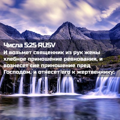 Picture 02 - Числа 5:25 RUSV - И возьмет священник из рук - Bible Verse Picture
