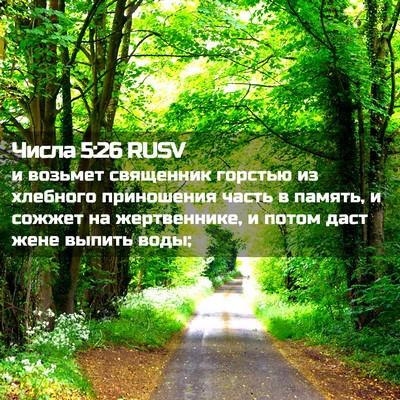 Picture 02 - Числа 5:26 RUSV - и возьмет священник - Bible Verse Picture