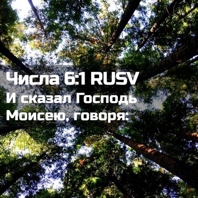 Picture 02 - Числа 6:1 RUSV - И сказал Господь Моисею, - Bible Verse Picture