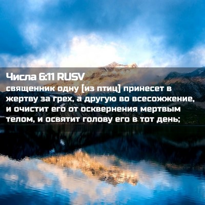 Picture 02 - Числа 6:11 RUSV - священник одну [из птиц] - Bible Verse Picture