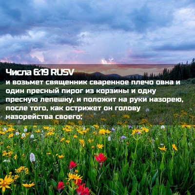 Picture 02 - Числа 6:19 RUSV - и возьмет священник - Bible Verse Picture