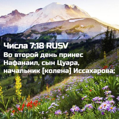 Picture 02 - Числа 7:18 RUSV - Во второй день принес - Bible Verse Picture