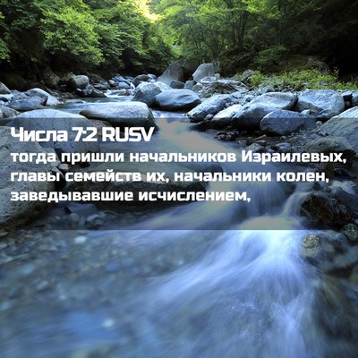 Picture 02 - Числа 7:2 RUSV - тогда пришли начальников - Bible Verse Picture