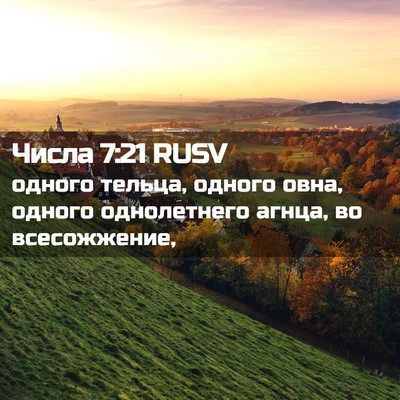 Picture 02 - Числа 7:21 RUSV - одного тельца, одного овна, - Bible Verse Picture