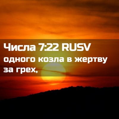Picture 02 - Числа 7:22 RUSV - одного козла в жертву за - Bible Verse Picture