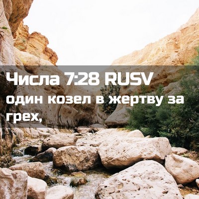 Picture 02 - Числа 7:28 RUSV - один козел в жертву за - Bible Verse Picture