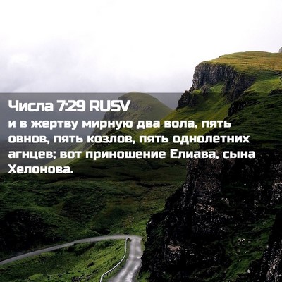 Picture 02 - Числа 7:29 RUSV - и в жертву мирную два вола, - Bible Verse Picture