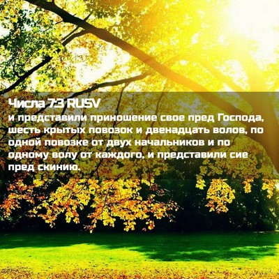Picture 02 - Числа 7:3 RUSV - и представили приношение - Bible Verse Picture