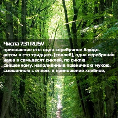 Picture 02 - Числа 7:31 RUSV - приношение его: одно - Bible Verse Picture