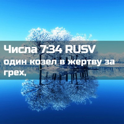 Picture 02 - Числа 7:34 RUSV - один козел в жертву за - Bible Verse Picture