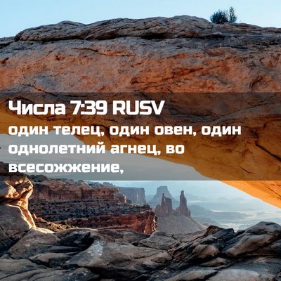 Picture 02 - Числа 7:39 RUSV - один телец, один овен, один - Bible Verse Picture