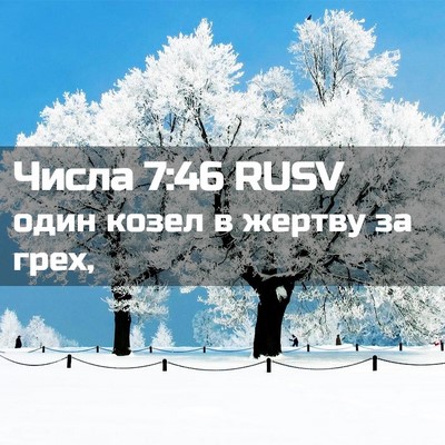 Picture 02 - Числа 7:46 RUSV - один козел в жертву за - Bible Verse Picture