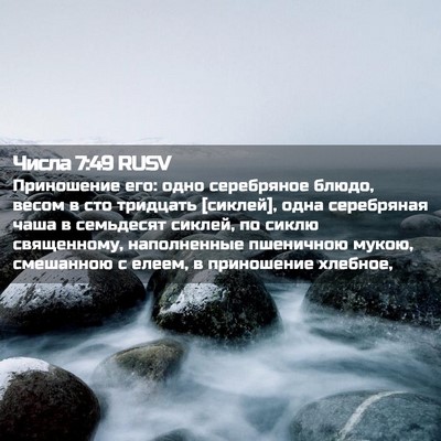 Picture 02 - Числа 7:49 RUSV - Приношение его: одно - Bible Verse Picture