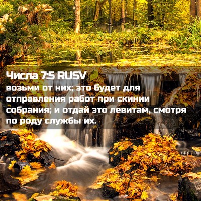 Picture 02 - Числа 7:5 RUSV - возьми от них; это будет - Bible Verse Picture