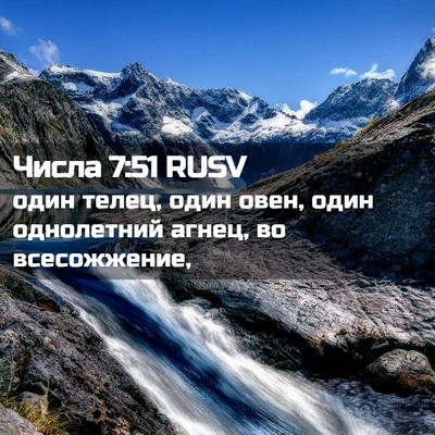 Picture 02 - Числа 7:51 RUSV - один телец, один овен, один - Bible Verse Picture