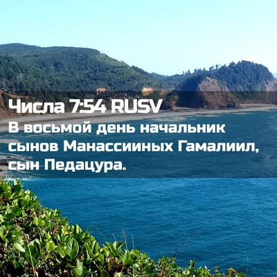Picture 02 - Числа 7:54 RUSV - В восьмой день начальник - Bible Verse Picture