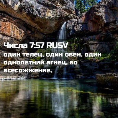 Picture 02 - Числа 7:57 RUSV - один телец, один овен, один - Bible Verse Picture