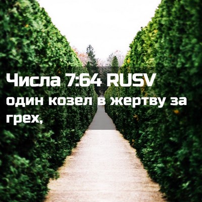 Picture 02 - Числа 7:64 RUSV - один козел в жертву за - Bible Verse Picture