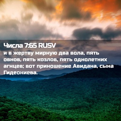 Picture 02 - Числа 7:65 RUSV - и в жертву мирную два вола, - Bible Verse Picture