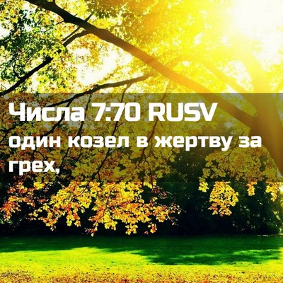 Picture 02 - Числа 7:70 RUSV - один козел в жертву за - Bible Verse Picture