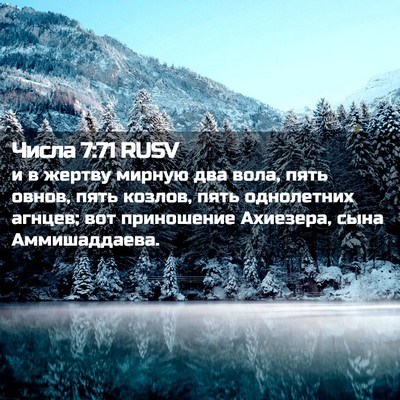 Picture 02 - Числа 7:71 RUSV - и в жертву мирную два вола, - Bible Verse Picture