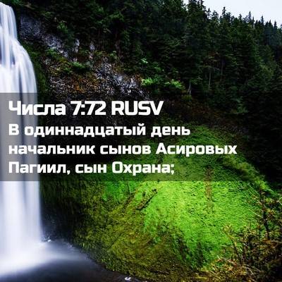 Picture 02 - Числа 7:72 RUSV - В одиннадцатый день - Bible Verse Picture