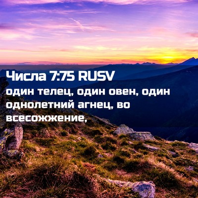 Picture 02 - Числа 7:75 RUSV - один телец, один овен, один - Bible Verse Picture