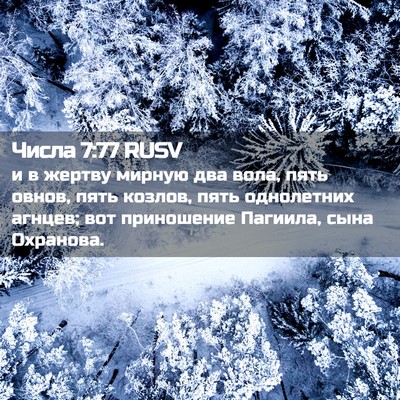 Picture 02 - Числа 7:77 RUSV - и в жертву мирную два вола, - Bible Verse Picture